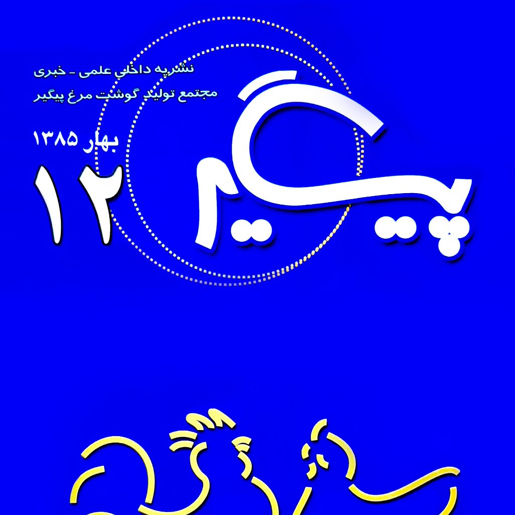 مجله پیگیر – شماره 12