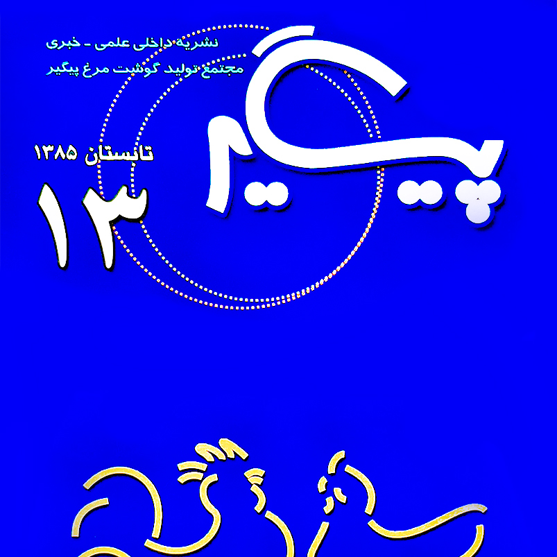 مجله پیگیر – شماره 13