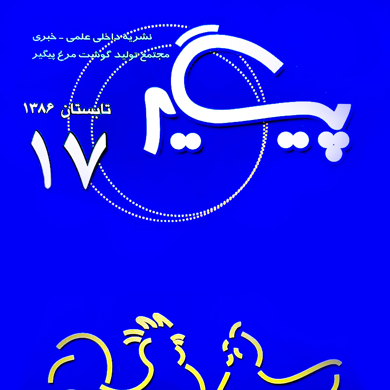 مجله پیگیر – شماره 17