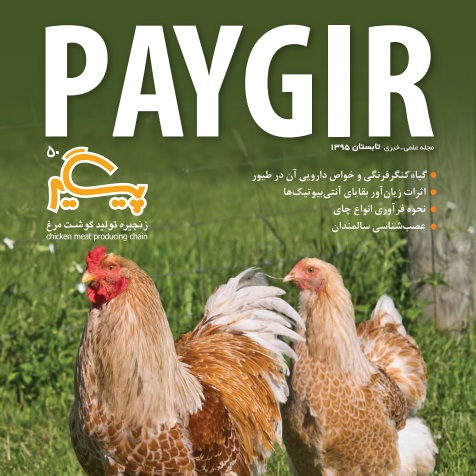 مجله پیگیر – شماره 50