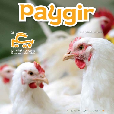 مجله پیگیر – شماره ۵۴