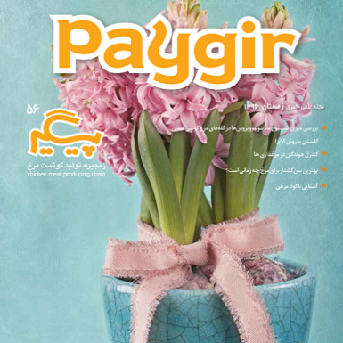 مجله پیگیر – شماره ۵۶