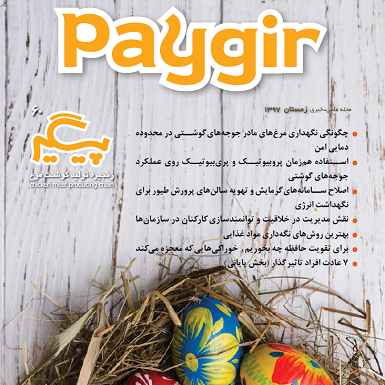 مجله پیگیر – شماره 60