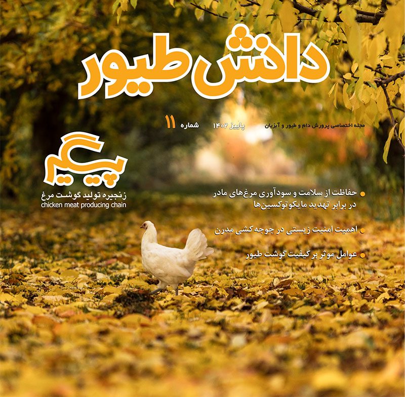 مجله دانش طیور – شماره 11
