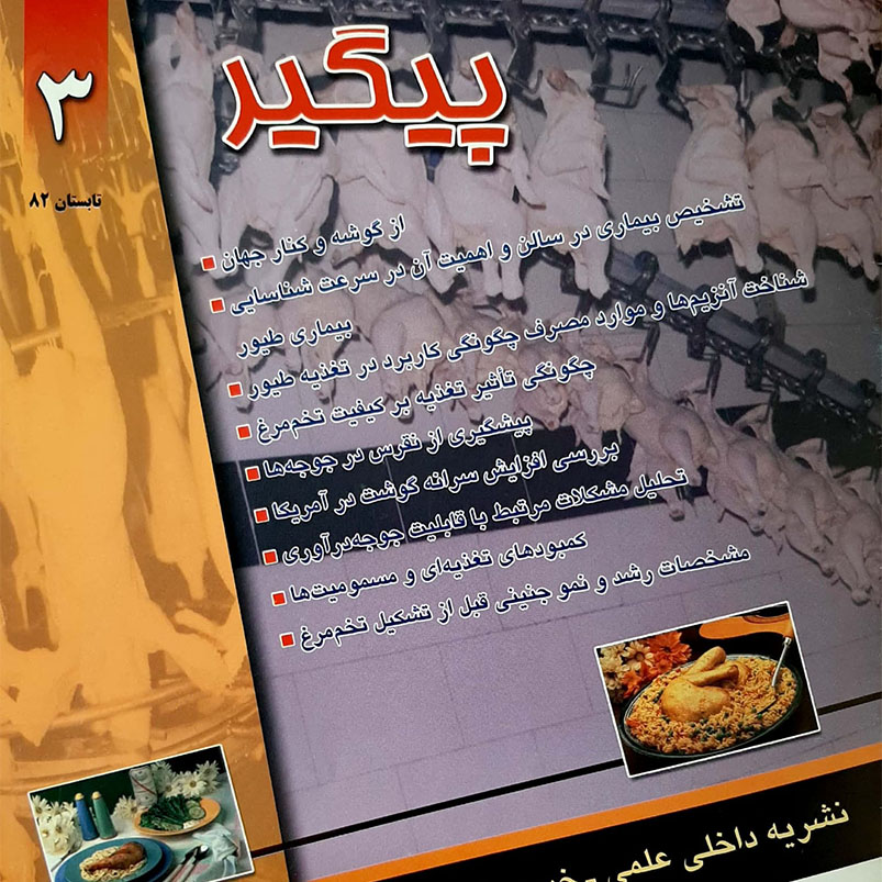 مجله پیگیر – شماره 3