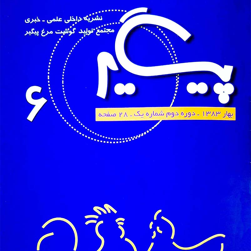 مجله پیگیر – شماره 6
