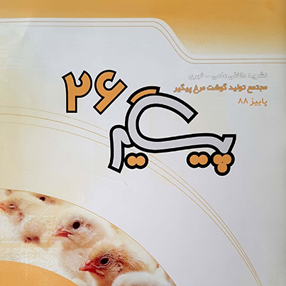 مجله پیگیر – شماره 26