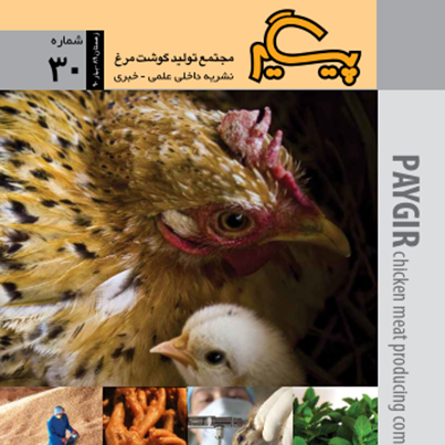 مجله پیگیر – شماره 30
