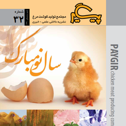 مجله پیگیر – شماره 32