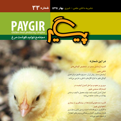 مجله پیگیر – شماره 33