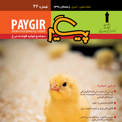 مجله پیگیر – شماره 36