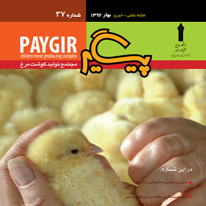 مجله پیگیر – شماره 37