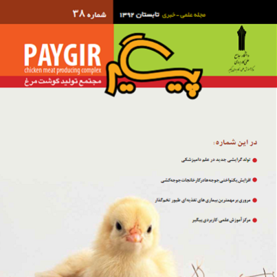 مجله پیگیر – شماره 38