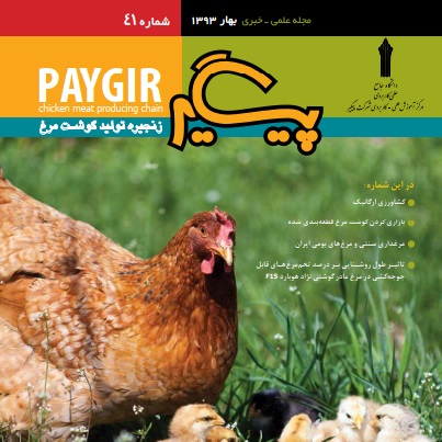مجله پیگیر – شماره 41