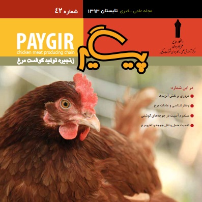 مجله پیگیر – شماره 42