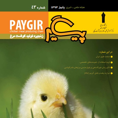 مجله پیگیر – شماره 43