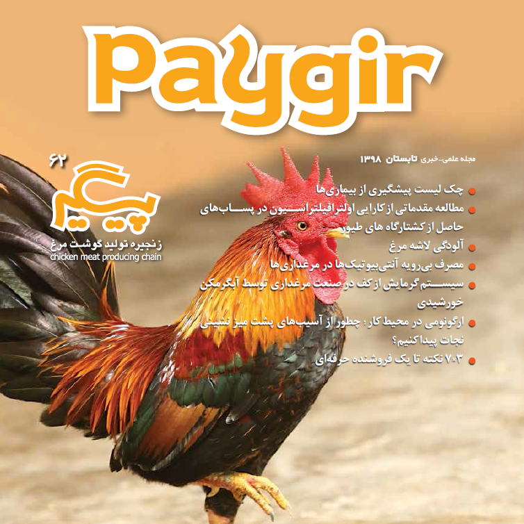 مجله پیگیر – شماره ۶2