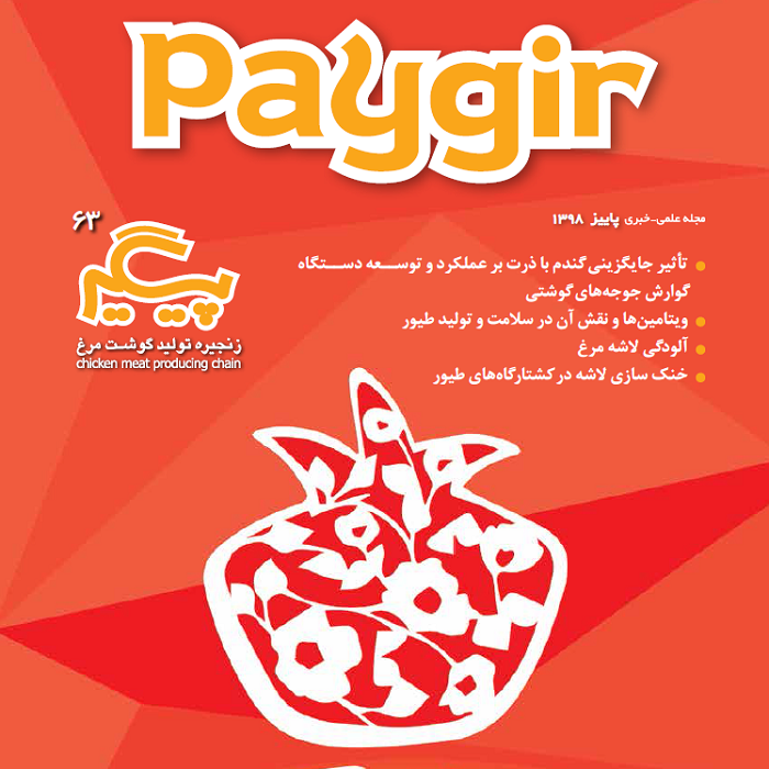 مجله پیگیر – شماره ۶3