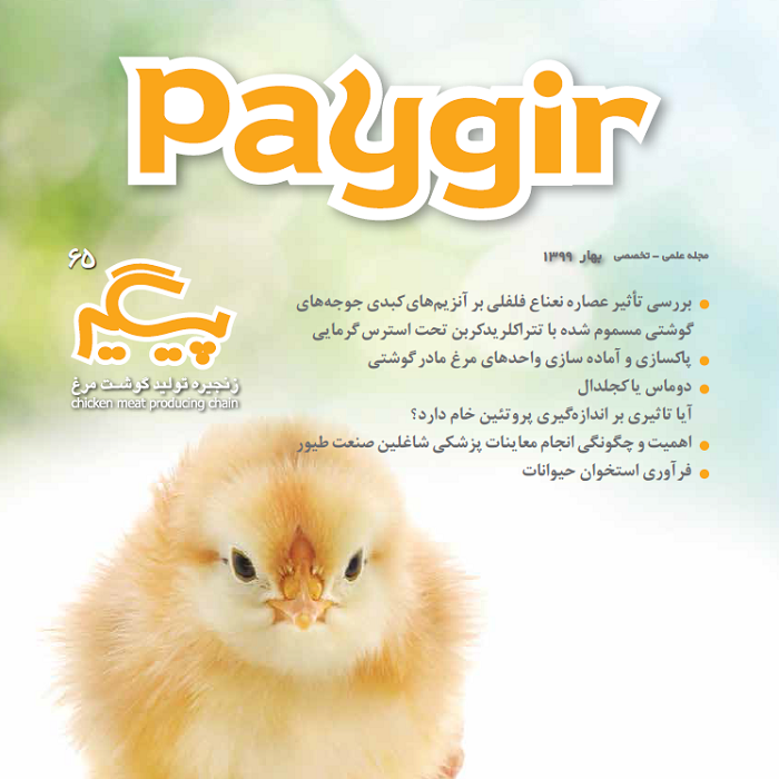 مجله پیگیر – شماره ۶5