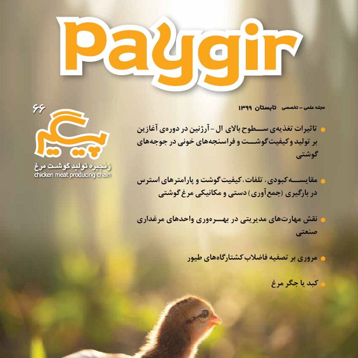 مجله پیگیر – شماره ۶6