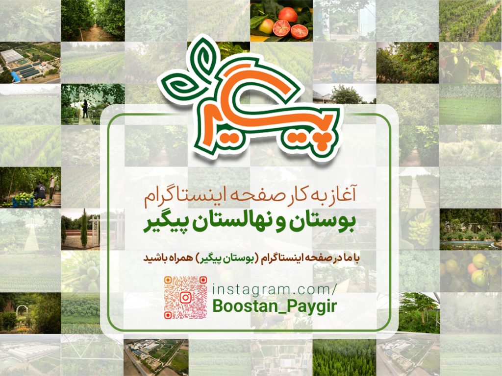 آغاز به کار پیج اینستاگرام بوستان پیگیر آغاز به کار پیج اینستاگرام بوستان پیگیر