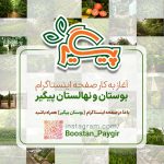 آغاز به کار پیج اینستاگرام بوستان پیگیر
