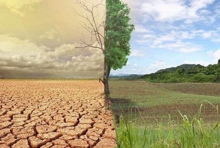 مهار پدیده بیابان زایی مهار پدیده بیابان زایی