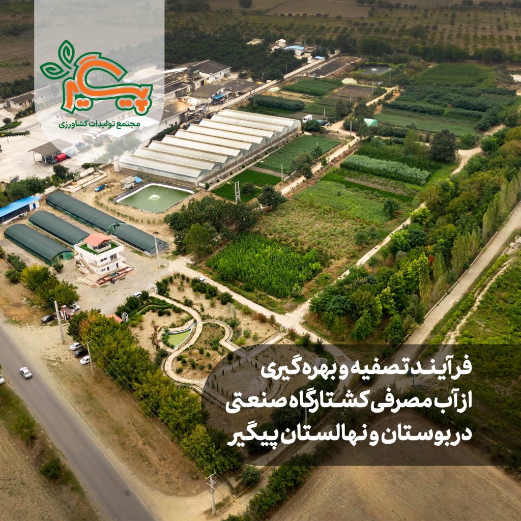 فرآیند بهره گیری از آب مصرفی کشتارگاه صنعتی در بوستان پیگیر / ویدئو فرآیند بهره گیری از آب مصرفی کشتارگاه صنعتی در بوستان پیگیر / ویدئو