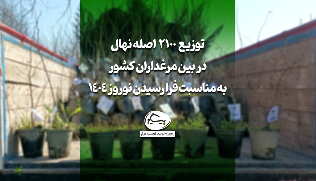 توزیع 2100 اصله نهال در بین مرغداران کشور توزیع 2100 اصله نهال در بین مرغداران کشور