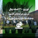 توزیع 2100 اصله نهال در بین مرغداران کشور