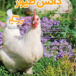 مجله دانش طیور – شماره 20